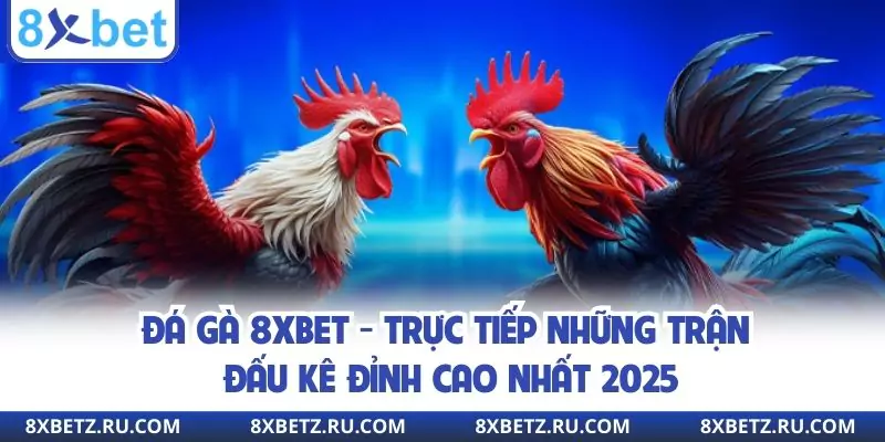 Đá Gà 8xbet - Trực Tiếp Những Trận Đấu Kê Đỉnh Cao Nhất 2025