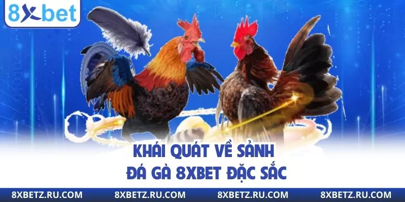 Khái quát về sảnh đá gà 8xbet đặc sắc