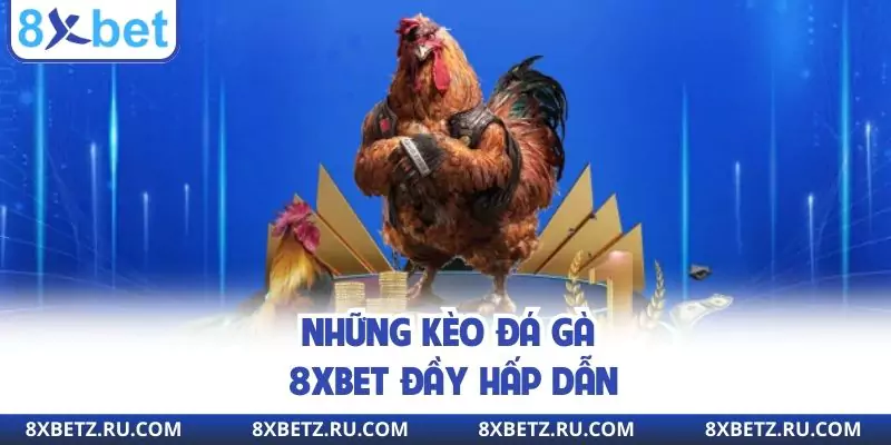 Những kèo đá gà 8xbet đầy hấp dẫn