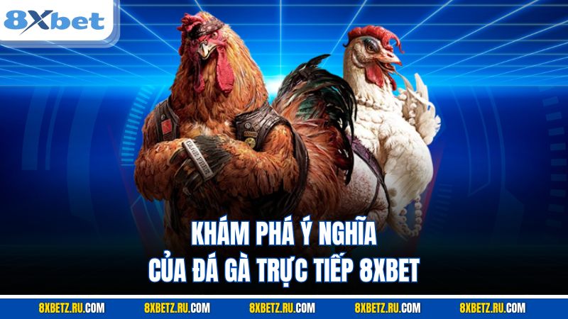 Khám phá ý nghĩa của đá gà trực tiếp 8XBET