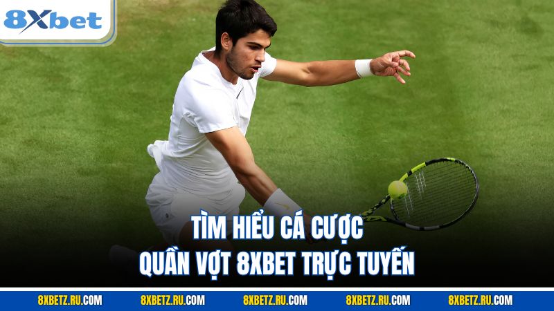 Tìm hiểu cá cược quần vợt 8XBET trực tuyến