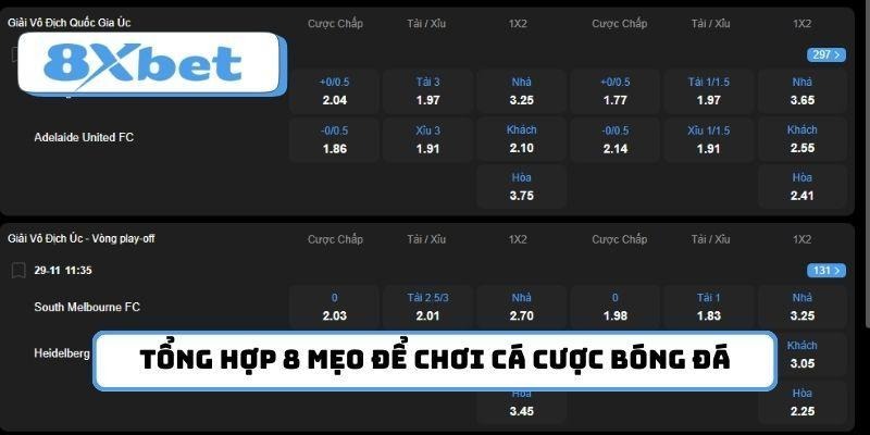 Tổng hợp 8 mẹo để chơi cá cược bóng đá bất bại