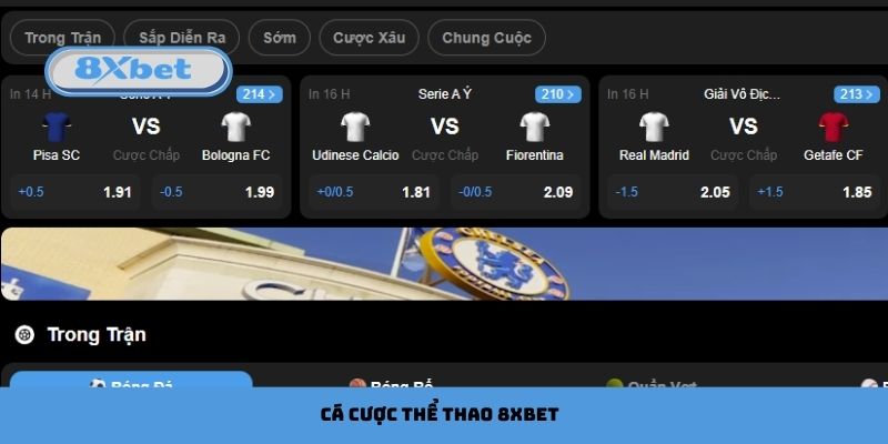 Cá Cược Thể Thao 8xbet Chơi Thú Vị, Thắng Dễ Hơn